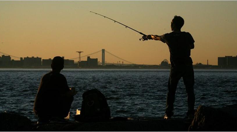 For complete details and schedule, see hudsonriverpark.com