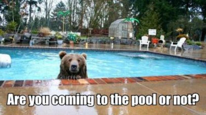 image via http://weknowmemes.com